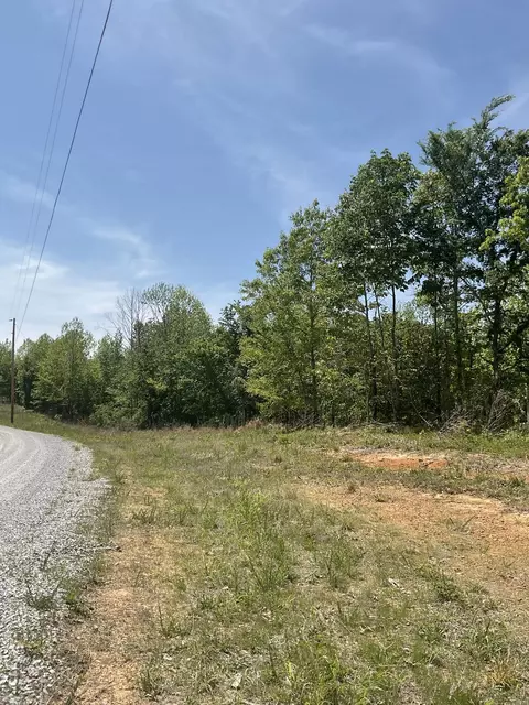 98 Saddleback Dr, Dover, TN 37058 photo 9