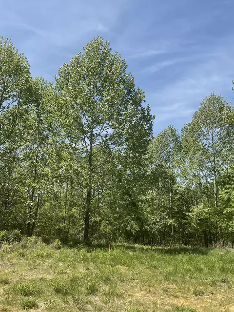 98 Saddleback Dr, Dover, TN 37058 photo 15