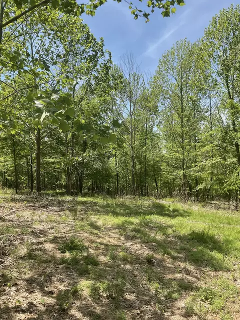 98 Saddleback Dr, Dover, TN 37058