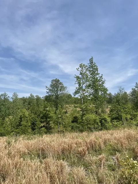 98 Saddleback Dr, Dover, TN 37058 photo 13