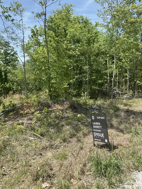 98 Saddleback Dr, Dover, TN 37058 photo 4