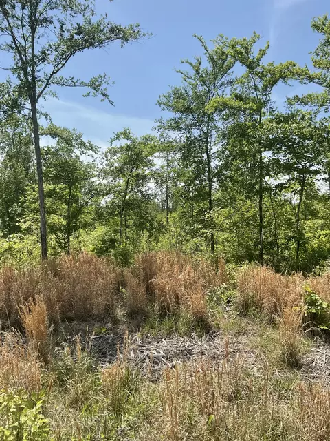 98 Saddleback Dr, Dover, TN 37058 photo 12