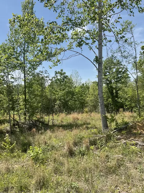 98 Saddleback Dr, Dover, TN 37058 photo 5