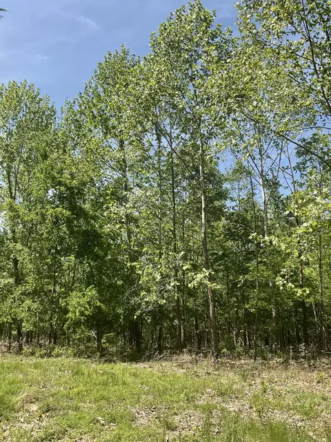 98 Saddleback Dr, Dover, TN 37058 photo 3
