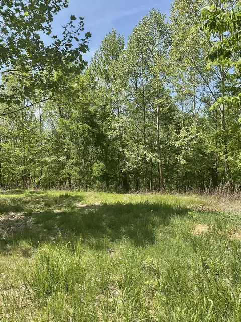 98 Saddleback Dr, Dover, TN 37058 photo 2
