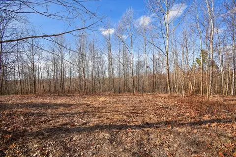 98 Saddleback Dr, Dover, TN 37058 photo 19