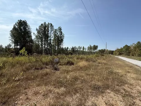 45 Saddleback Dr, Dover, TN 37058 photo 25