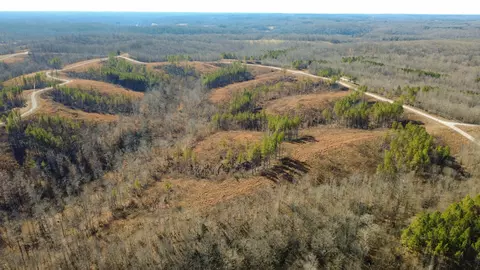 45 Saddleback Dr, Dover, TN 37058 photo 18