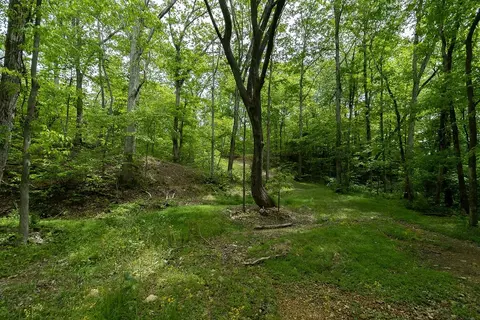 0 Billy Wynn Rd, Dickson, TN 37055 photo 16