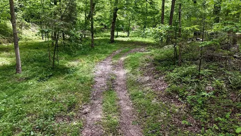 0 Billy Wynn Rd, Dickson, TN 37055 photo 36
