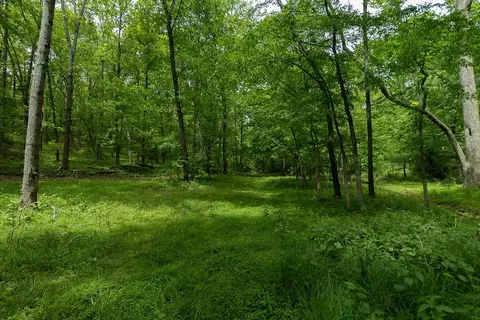 0 Billy Wynn Rd, Dickson, TN 37055 photo 17