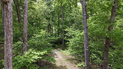 0 Billy Wynn Rd, Dickson, TN 37055 photo 40