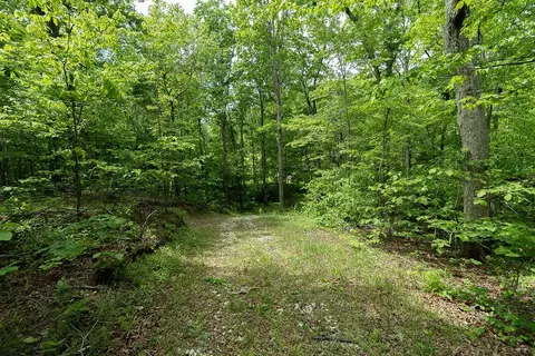 0 Billy Wynn Rd, Dickson, TN 37055 photo 19