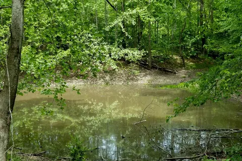 0 Billy Wynn Rd, Dickson, TN 37055 photo 8