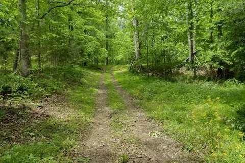 0 Billy Wynn Rd, Dickson, TN 37055 photo 46
