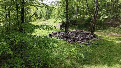 0 Billy Wynn Rd, Dickson, TN 37055 photo 15