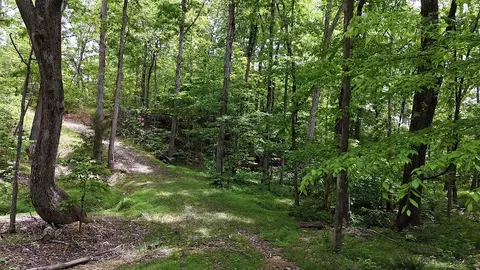 0 Billy Wynn Rd, Dickson, TN 37055 photo 34