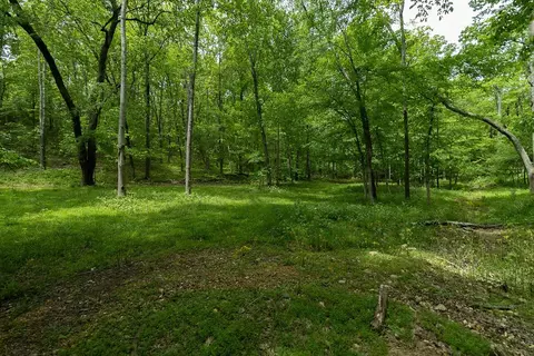 0 Billy Wynn Rd, Dickson, TN 37055 photo 10