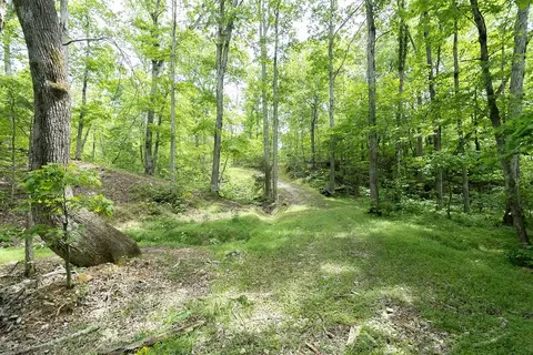 0 Billy Wynn Rd, Dickson, TN 37055 photo 12