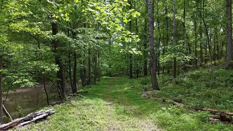 0 Billy Wynn Rd, Dickson, TN 37055 photo 26