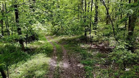 0 Billy Wynn Rd, Dickson, TN 37055 photo 25