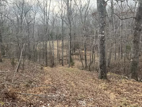 0 Billy Wynn Rd, Dickson, TN 37055 photo 7