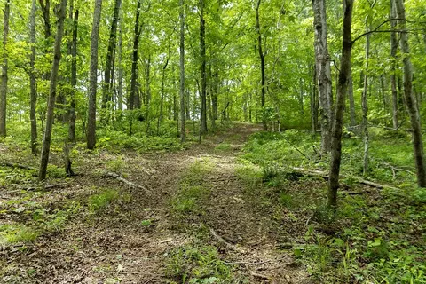 0 Billy Wynn Rd, Dickson, TN 37055 photo 14