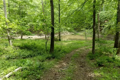 0 Billy Wynn Rd, Dickson, TN 37055 photo 23