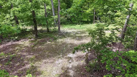 0 Billy Wynn Rd, Dickson, TN 37055 photo 22