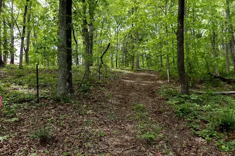 0 Billy Wynn Rd, Dickson, TN 37055 photo 31