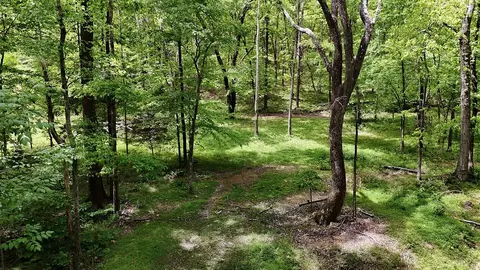 0 Billy Wynn Rd, Dickson, TN 37055 photo 45