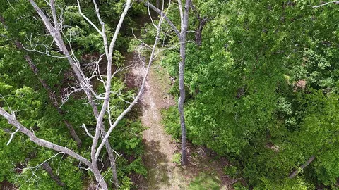 0 Billy Wynn Rd, Dickson, TN 37055 photo 35