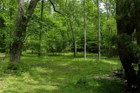 0 Billy Wynn Rd, Dickson, TN 37055 photo 21