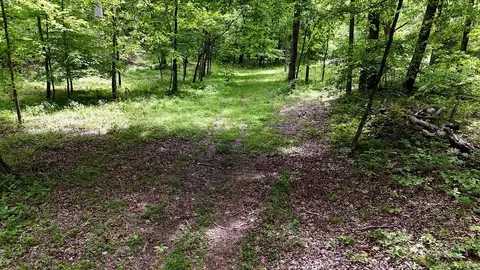 0 Billy Wynn Rd, Dickson, TN 37055 photo 41
