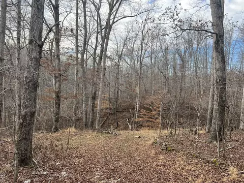 0 Billy Wynn Rd, Dickson, TN 37055 photo 9