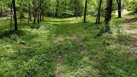 0 Billy Wynn Rd, Dickson, TN 37055 photo 11