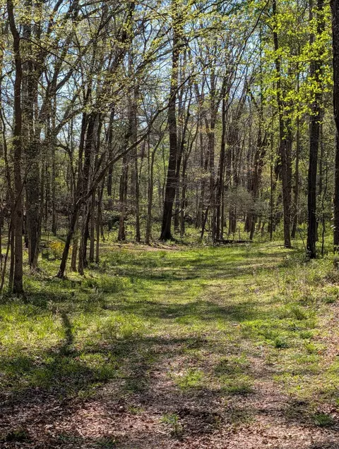 0 Billy Wynn Rd, Dickson, TN 37055 photo 6