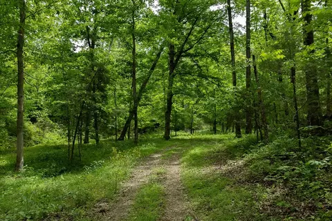 0 Billy Wynn Rd, Dickson, TN 37055 photo 20