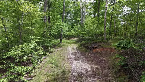 0 Billy Wynn Rd, Dickson, TN 37055 photo 18