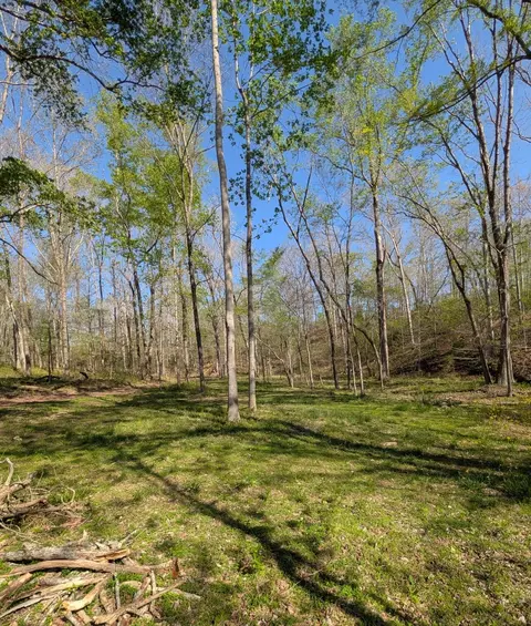0 Billy Wynn Rd, Dickson, TN 37055 photo 4