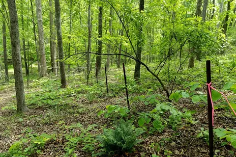 0 Billy Wynn Rd, Dickson, TN 37055 photo 28