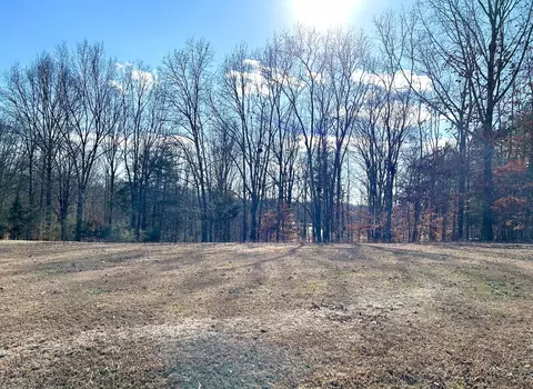 0 Stones Bnd, Lynchburg, TN 37352