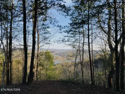 0 Red Creek Hollow Rd, Tazewell, TN 37879