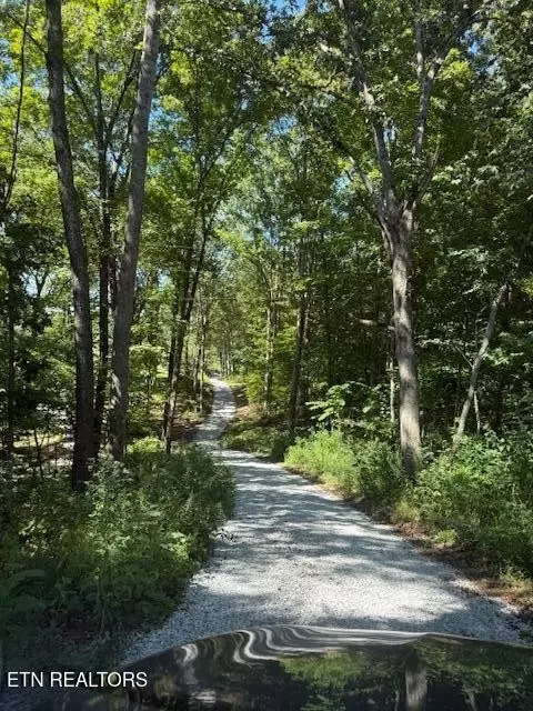 11150 Blackberry Forest Way, Knoxville, TN 37931