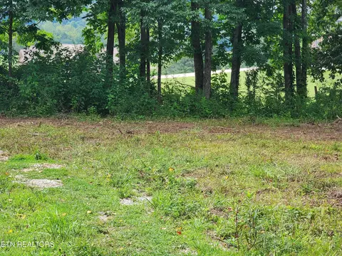 163 Woodvine St, Jacksboro, TN 37757