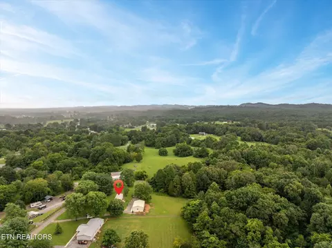 5849 Bernie Cir, Talbott, TN 37877 photo 23
