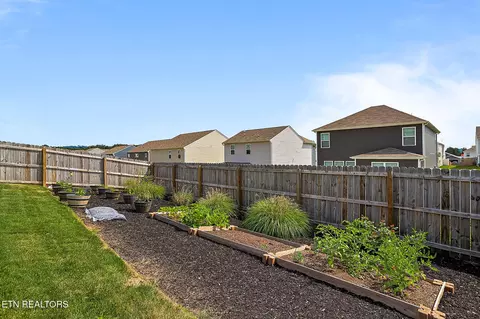 7443 Game Bird St, Corryton, TN 37721 photo 30