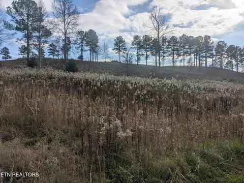 217 Lake Fry, Loudon, TN 37774