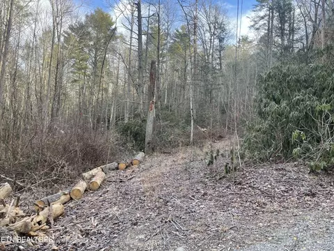 0 Holder Cemetery Rd, Tellico Plains, TN 37385