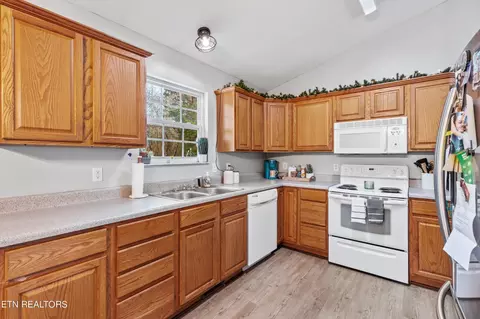 282 Walnut Ln, Corryton, TN 37721 photo 13